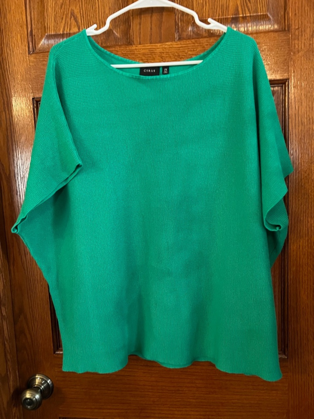 Cyrus Woman’s 2X Green Shorts Sleeve Knit Pullover Boat Neck